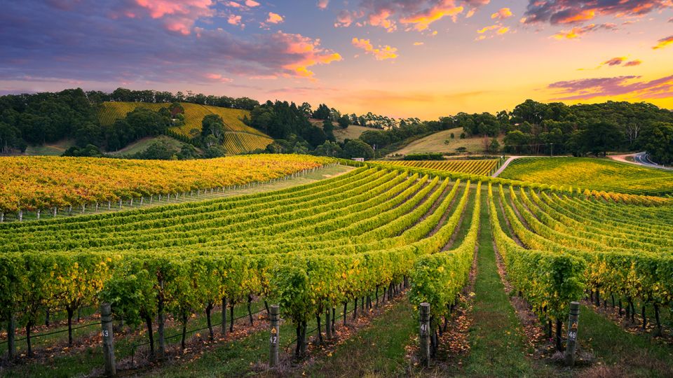 HERO_Aus_SA_Barossa.jpg